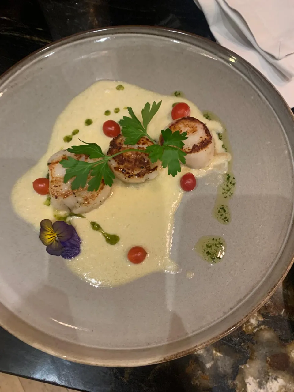 Assiette de noix de Saint-Jacques snackées, sauce crémeuse, huile d'herbes et fleurs comestibles
