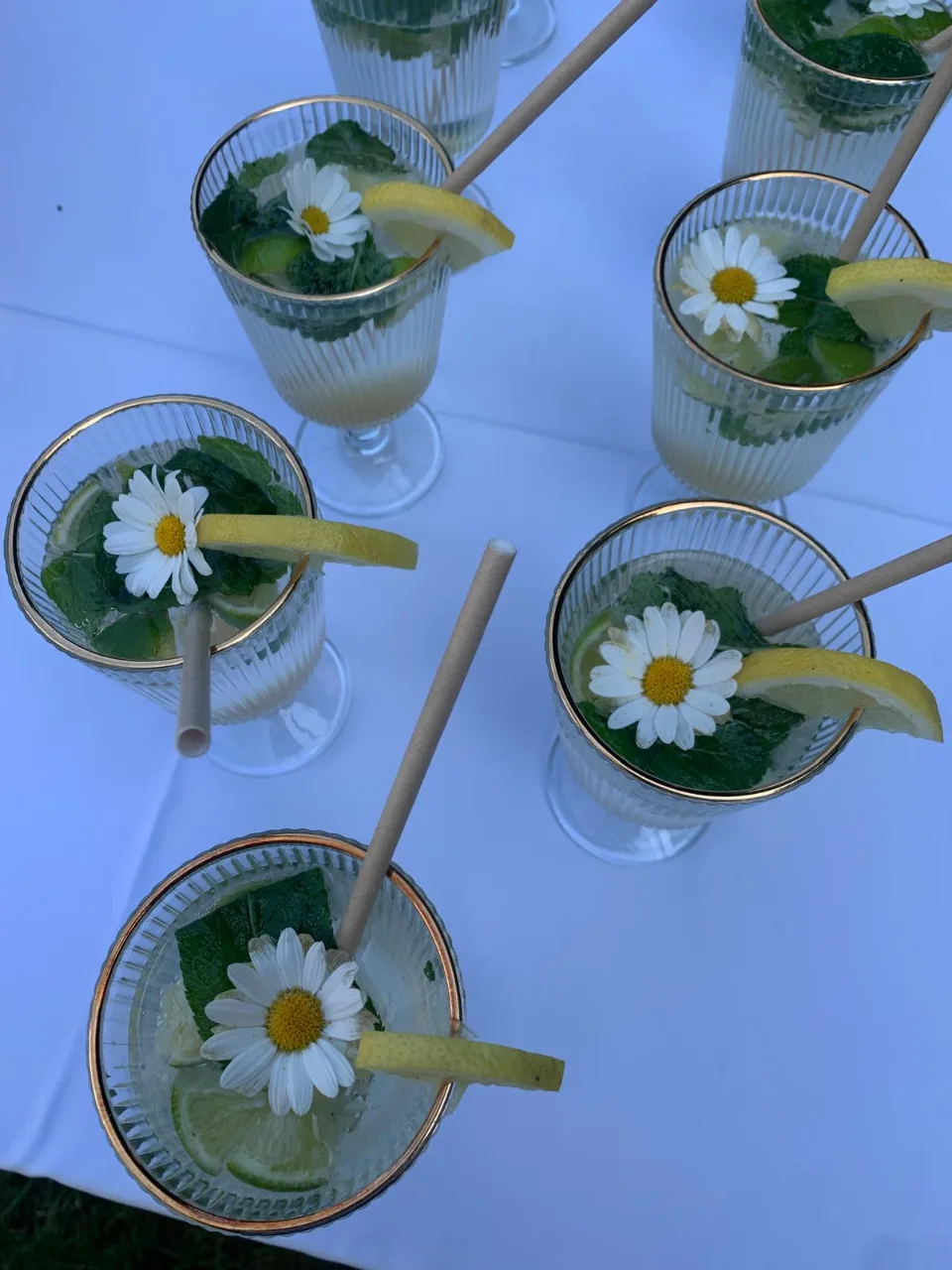Verres à cocktail ornés d'une fleur de pâquerette, de menthe et d'une rondelle de citron sur une nappe blanche